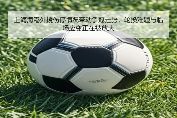 上海海港外援伤停情况牵动争冠走势，轮换难题与临场应变正在被放大 | kaiyun